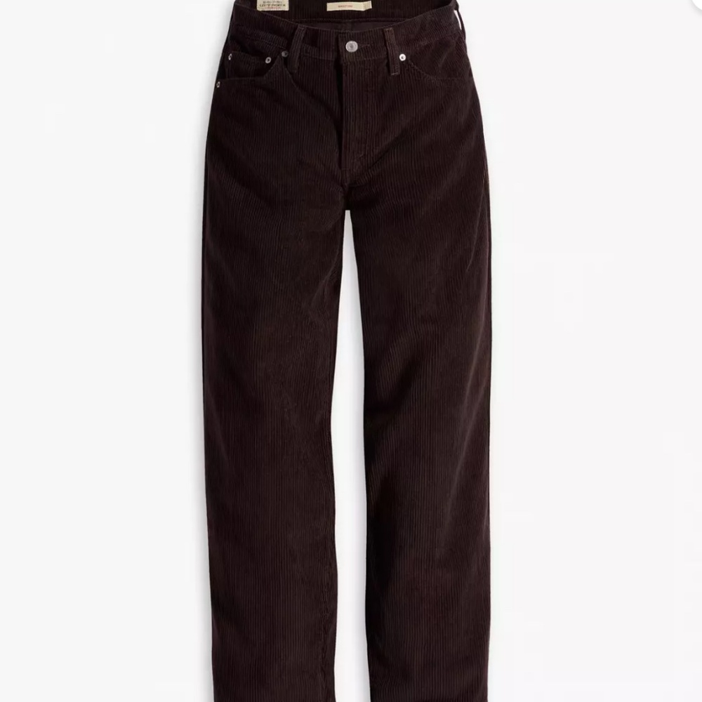 Levi’s Baggy Dad Corduroy Pants — 24
